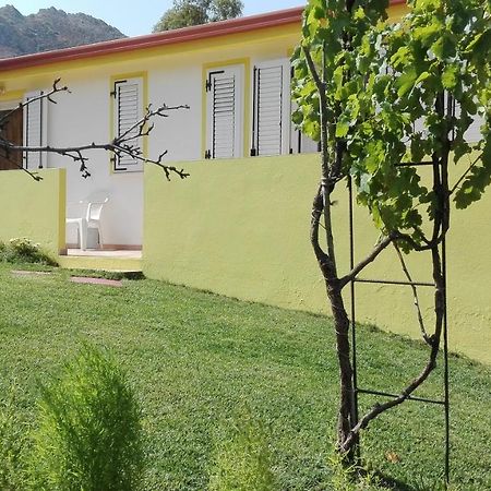Il Girasole Alloggio Villa Fluminimaggiore Luaran gambar